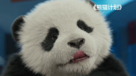久插视频