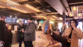 国产精品入口麻豆高清在线